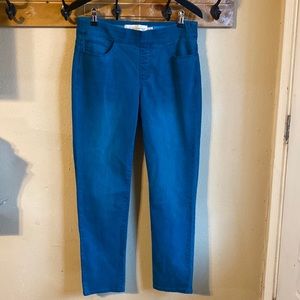 Soft Surroundings teal jeggings